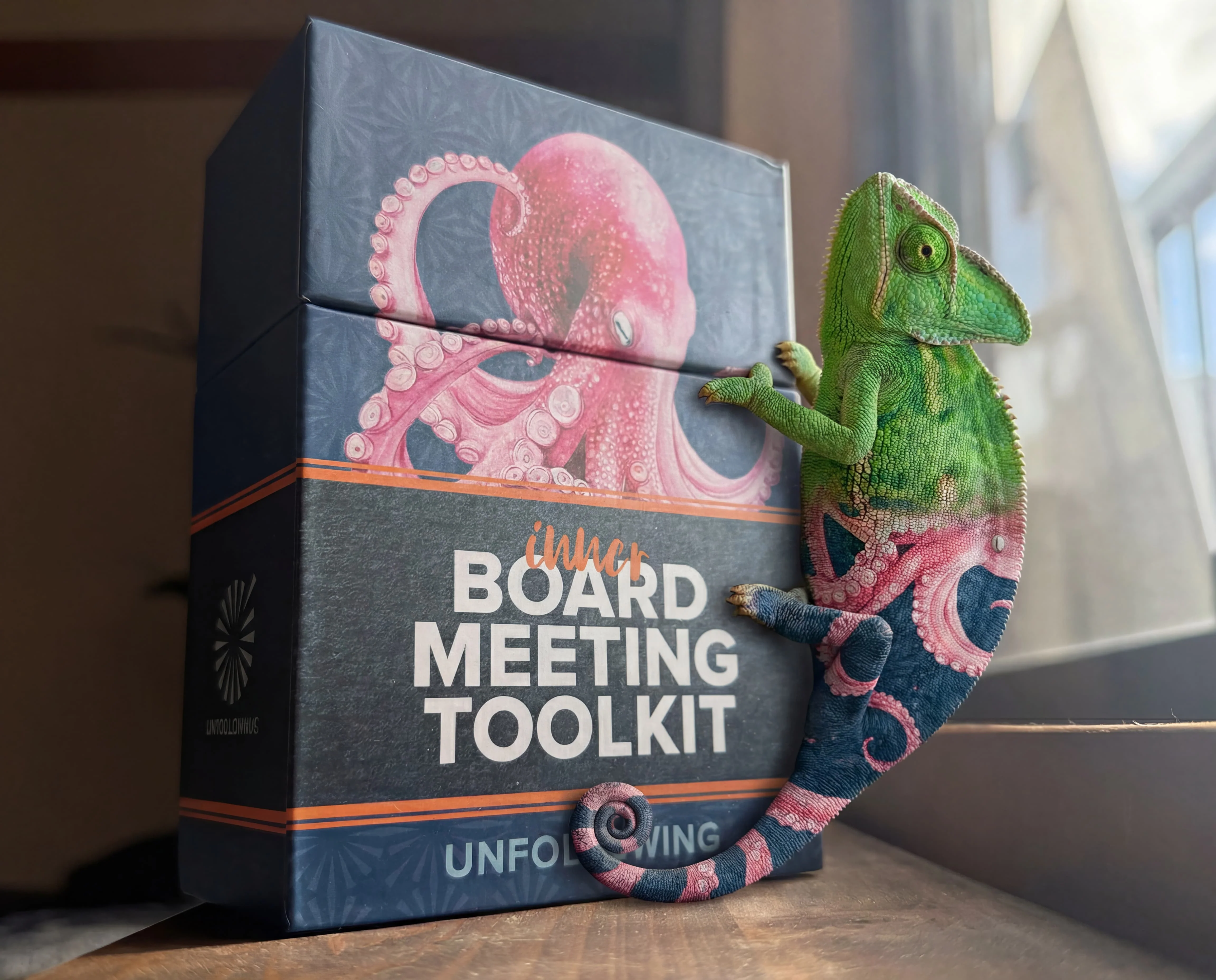 Space for Work: The Inner Board Meeting Toolkit (Base Kit) - Image 13